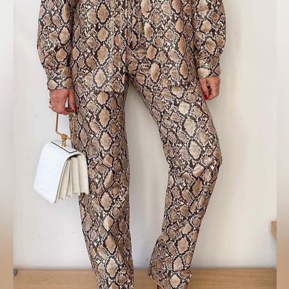Like new Zara snake print pants